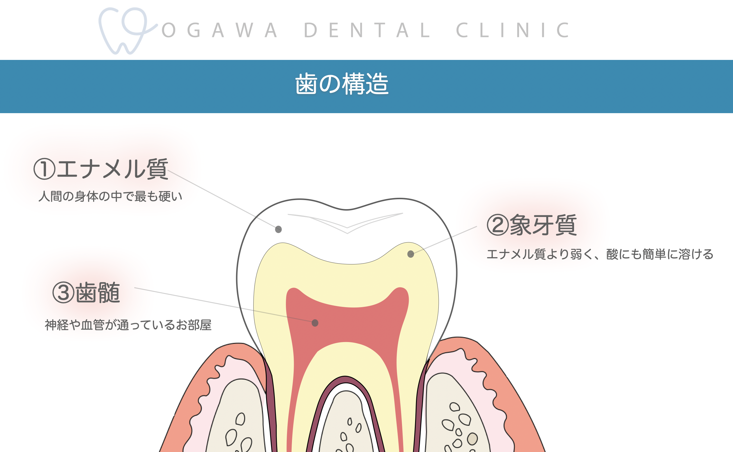 虫歯が深くても神経を抜かない！？